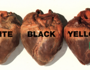 Benetton - United Colors<br />