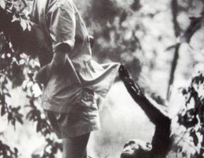 Apple - "Think Different" Print Campaign & "The Crazy Ones" TV Commercial<br />photo credit: creativecriminals.com