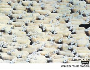 Levi's - "When the World Zigs, Zag"<br />photo credit: bhatnaturally.com