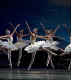 American Ballet Theatre<br />photo credit: abt.org