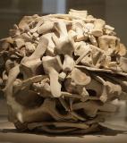 Andrew Goldsworthy<br />photo credit: Wikipedia