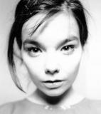 Björk<br />