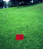 David Shrigley<br />photo credit: davidshrigley.com