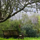 The bench in my garden<br />photo credit: thefhd.com