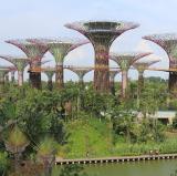 Gardens by the Bay, Singapore<br />photo credit: Wikipedia