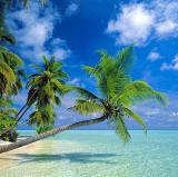 Hawaii<br />