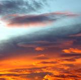 Joshua Tree, California<br />photo credit: Wikipedia