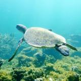 WA (Western Australia)<br />photo credit: westernaustralia.com